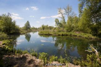 Balade au marais d'Isle de Saint-Quentin