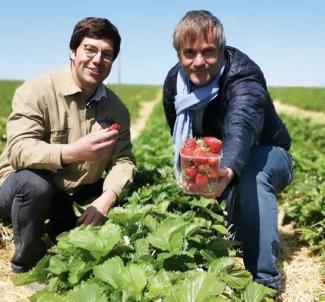 Acy Fraises Acy Fraises