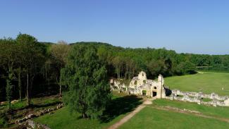 Forêt Vauclair