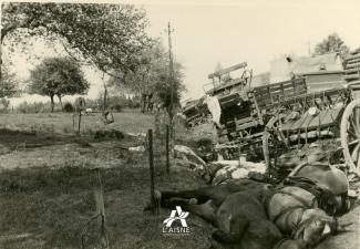 Convoi d’artillerie renversé près d’une prairie et cadavres de chevaux, probablement sur la route de Brunehamel à Mont-Saint-Jean, mai 1940. © Arch. dép. Aisne, 2 Fi 1158 Convoi d’artillerie renversé près d’une prairie et cadavres de chevaux, probablement sur la route de Brunehamel à Mont-Saint-Jean, mai 1940. © Arch. dép. Aisne, 2 Fi 1158