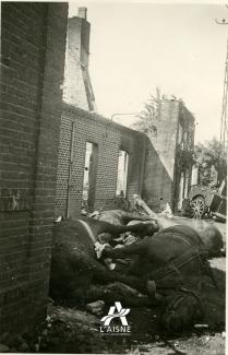 Cadavres de chevaux et cuisine roulante abandonnée probablement à l’entrée de Brunehamel, mai 1940. © Arch. dép. Aisne, 2 Fi 1159