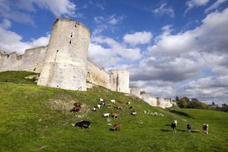 coucy-remparts-chaunois-terre-de-jeux-patrimoine