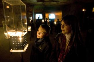 Visite ludique Caverne du Dragon ©FX Dessirier Visite ludique Caverne du Dragon ©FX Dessirier