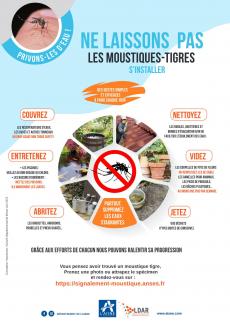 Lutte contre le moustique tigre