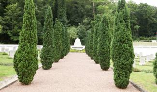 Le cimetière militaire danois de Braine