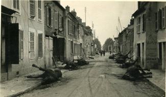 Cadavres de chevaux dans une rue bordée de maisons à Hirson ©Arch. dép. Aisne 2 Fi 1115 Cadavres de chevaux dans une rue bordée de maisons à Hirson ©Arch. dép. Aisne 2 Fi 1115