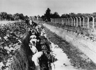 Déportés soumis aux travaux forcés au camp de Neuengamme ©United States Holocaust Memorial Museum