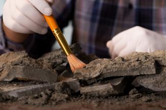 illustration archeologie