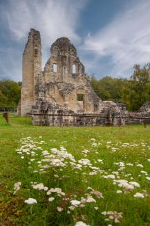 Vue des ruines de l'abbaye de Vauclair dans l'Aisne