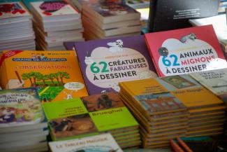 Piles de livres de la dotation