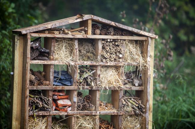 hôtel à insectes