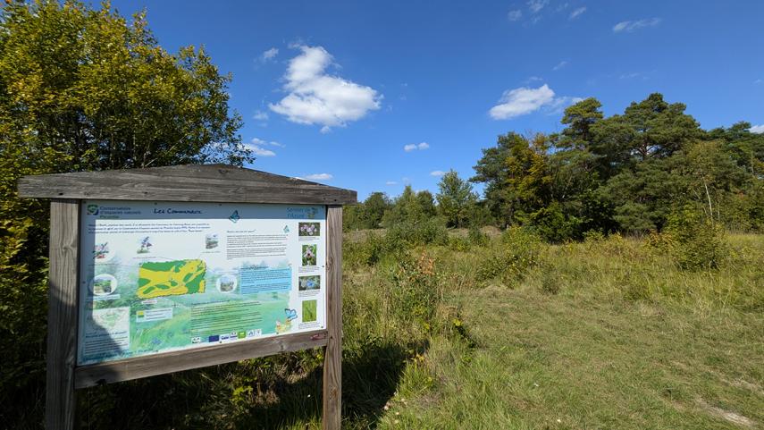 Sentier de l'Azuré I < Chermizy-Ailles < Aisne < Picardie