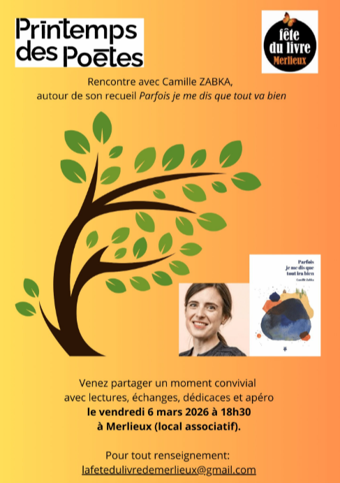 Capture d'écran 2026-02-17 093915