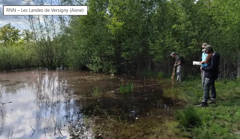 Capture d'écran 2026-03-06 134108