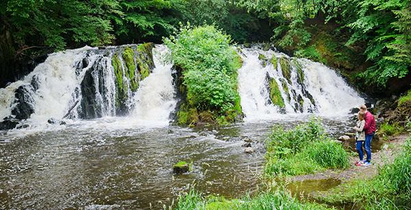 Colin Cascade de Blangy à Hirson