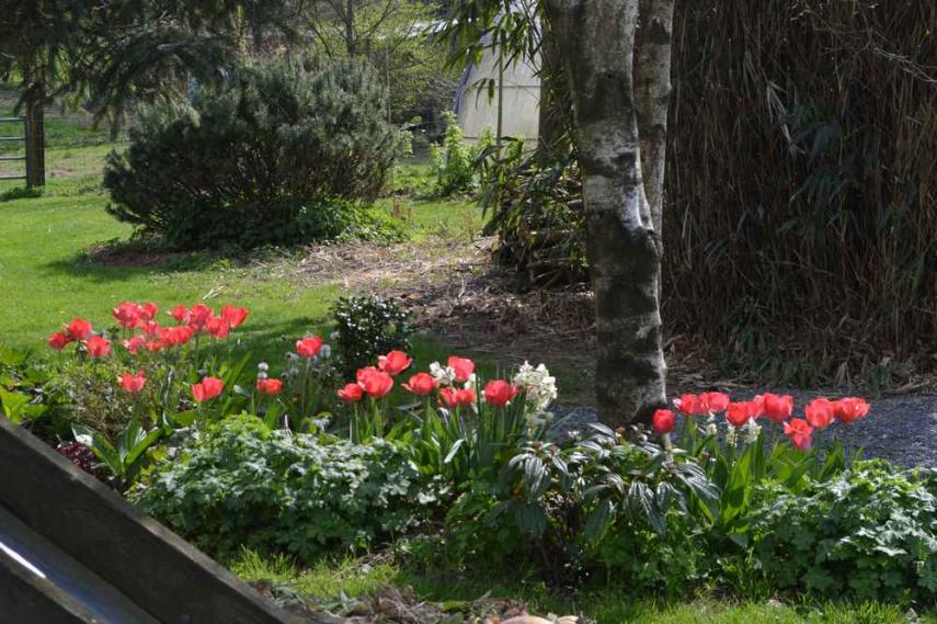 Jardin Roy < Haution < Thiérache < Aisne < Hauts de France 