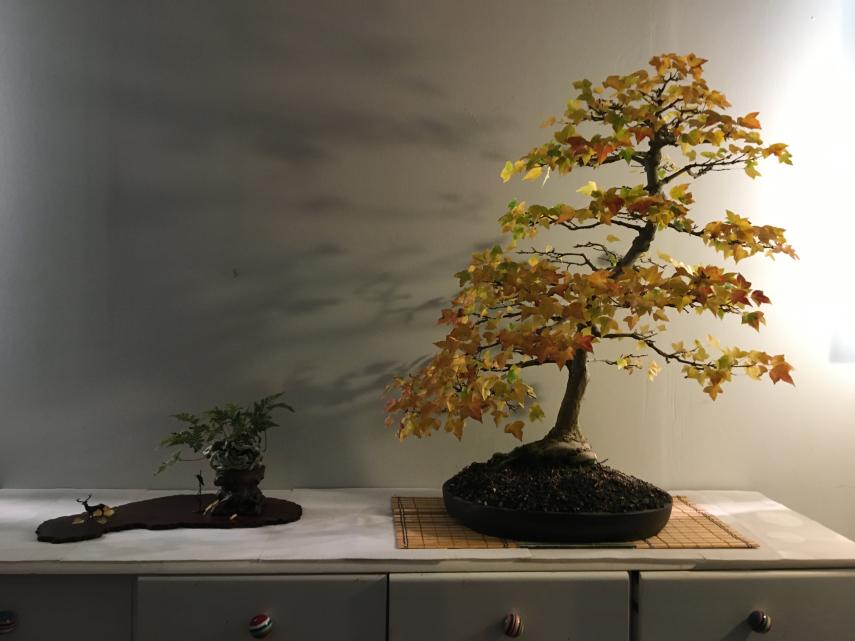 expo 09-2024