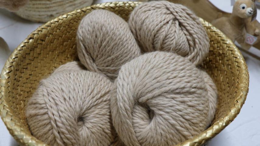 Alpagas laine < Sommeron < Thiérache < Aisne < Hauts-de-France