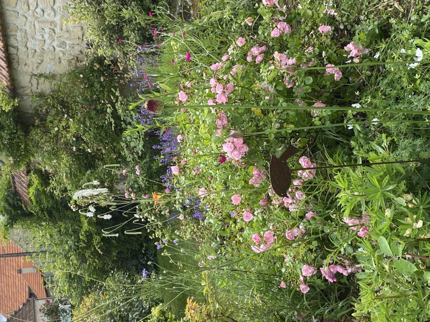jardin 2