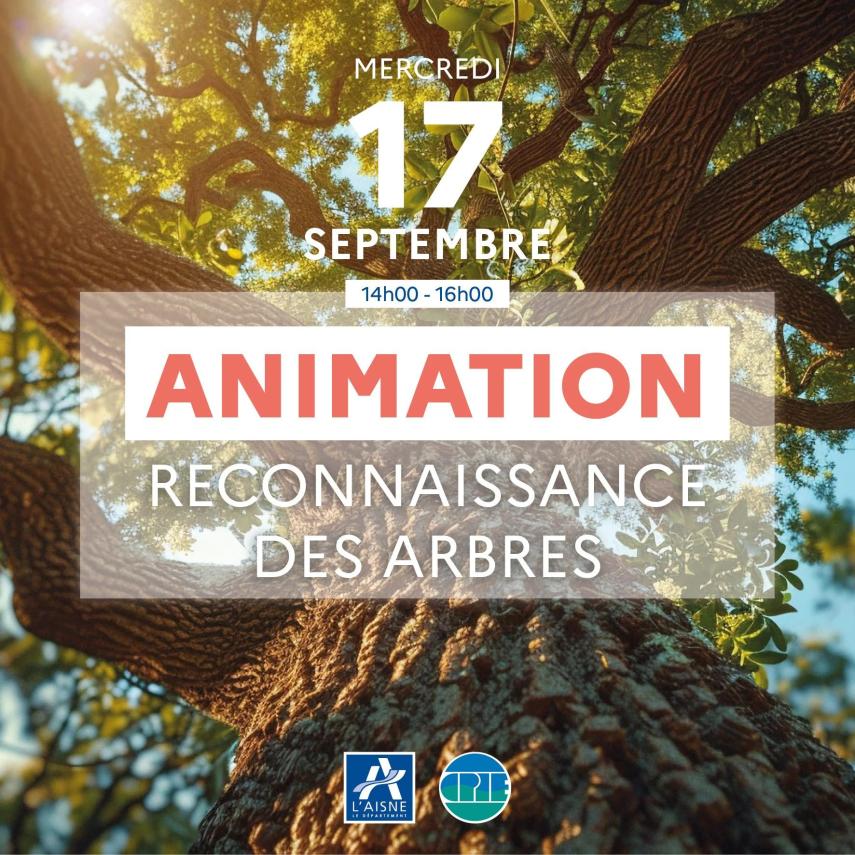 Image-GEODOMIA_-_17_SEPT_-_Reconnaissance_des_arbres