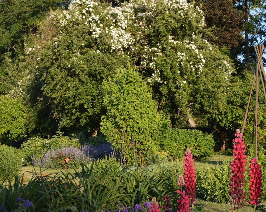 Parc et jardin < Bosmont-sur-Serre < Aisne < Picardie