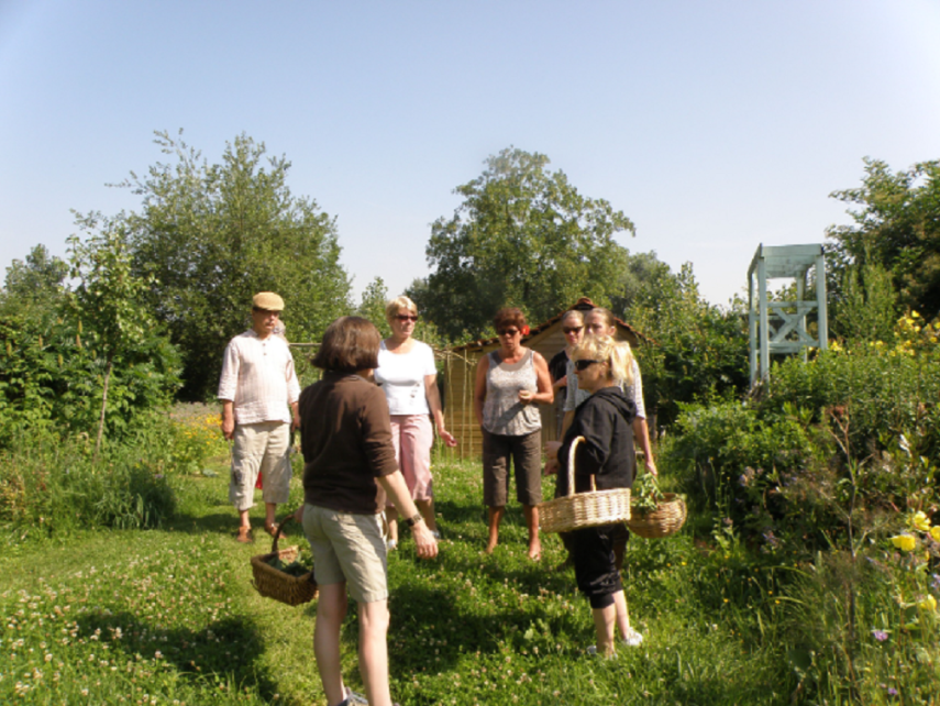 Jardin d'Hélène Proisy < Thiérache < Aisne < Hauts-de-France