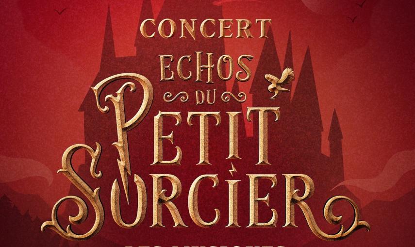 Spectacle Echos du petit sorcier < Laon < Aisne < Picardie