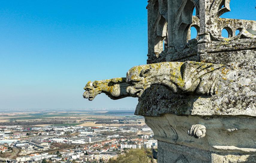 Sortie végétal animal II < Laon < Aisne < Picardie