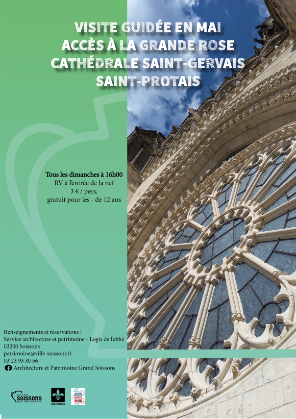 rose cathédrale 