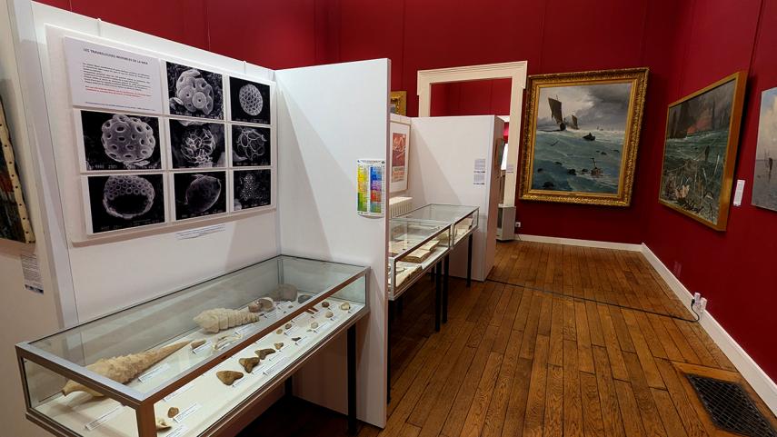 Musée art et archéologie expo Histoires d'eau IV < Laon < Aisne < Picardie