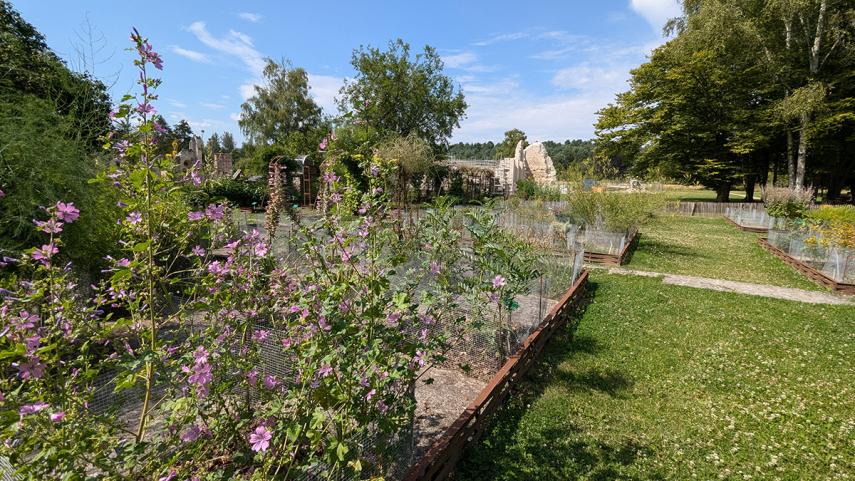 Jardin de plantes médicinales I < Bouconville-Vauclair < Aisne < Hauts-de-France