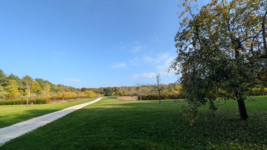 Sortie nature verger < Bouconville-Vauclair < Aisne < Picardie