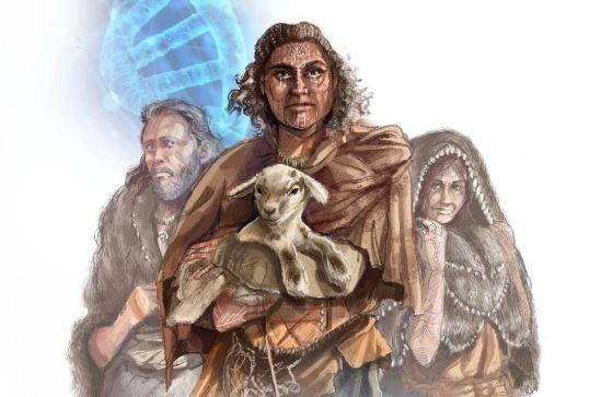 Café histoire Néolithique < Vauclair < Aisne < Picardie