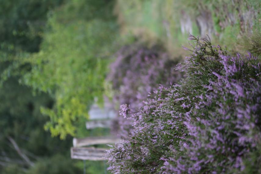 cenp_070420_ori