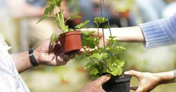 image trocplantes