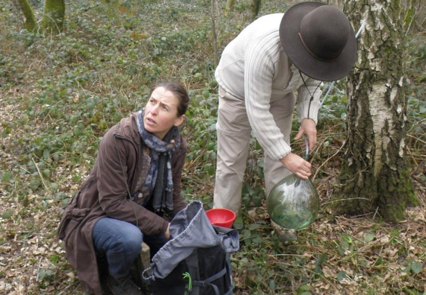 Sortie sève de bouleau < Jardin d'Hélène < Proisy < Thiérache < Aisne < Picardie < Hauts de France